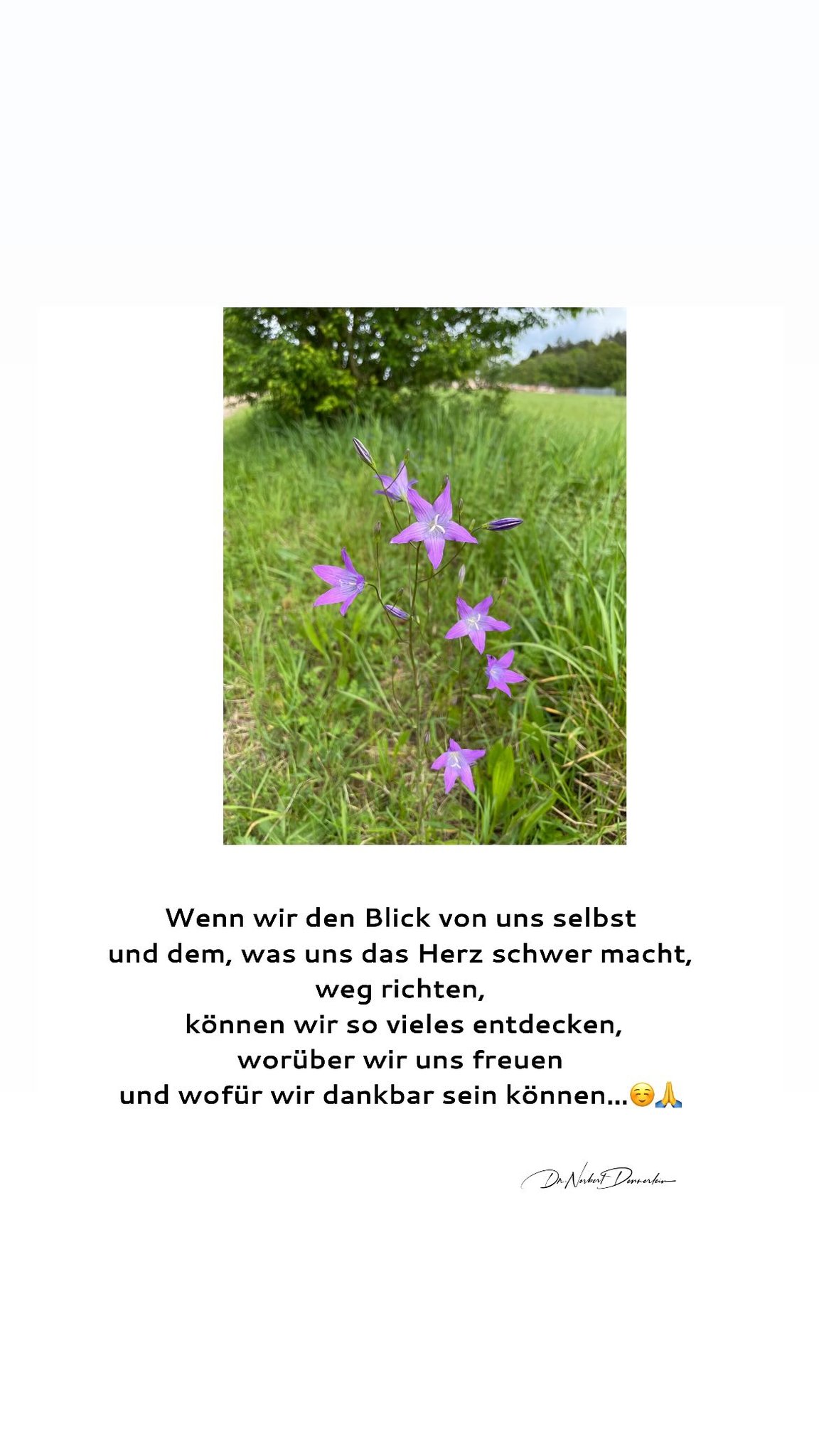 Mai 2024 - (3): Wenn wir den Blick von uns selbst und dem, was uns das Herz schwer 1 Wenn wir den Blick von uns selbst und dem, was uns das Herz schwer