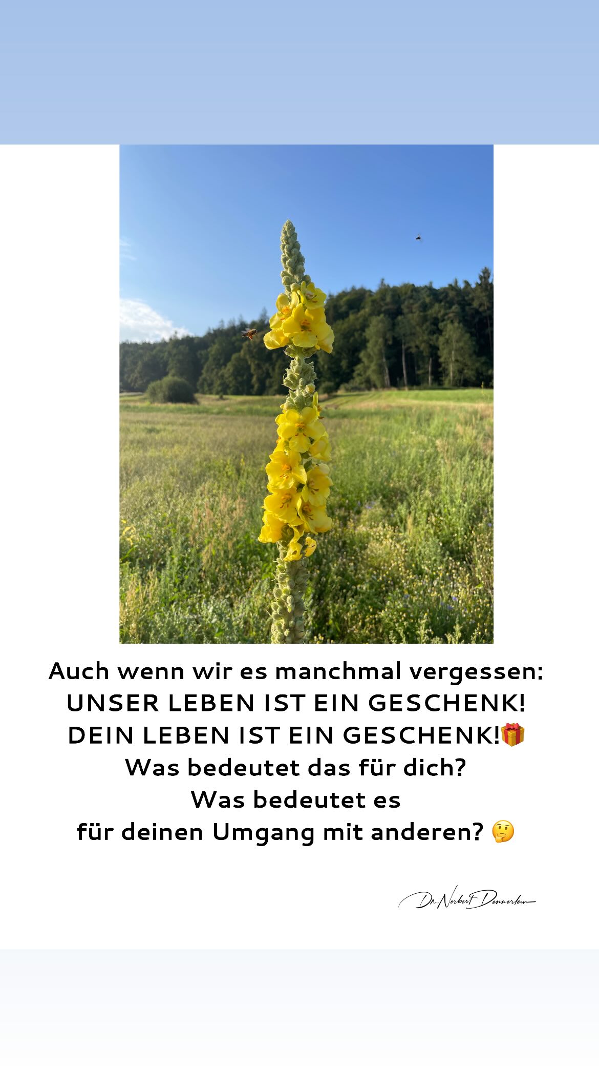 Juli 2024 - (13): Auch wenn wir es manchmal vergessen: UNSER LEBEN IST EIN GESCHENK 1 Auch wenn wir es manchmal vergessen: UNSER LEBEN IST EIN GESCHENK