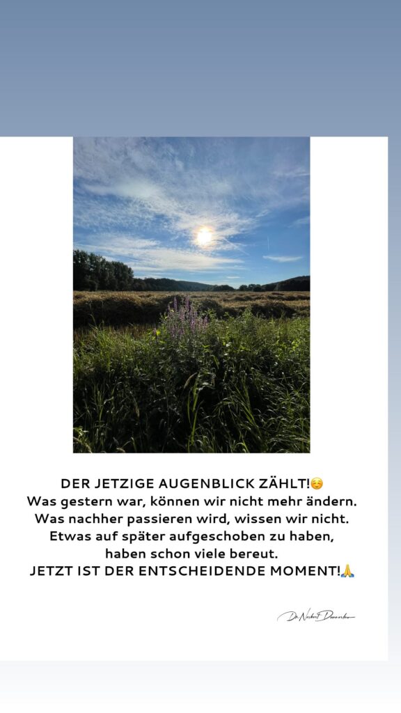 Dr. Norbert Dennerlein: DER JETZIGE