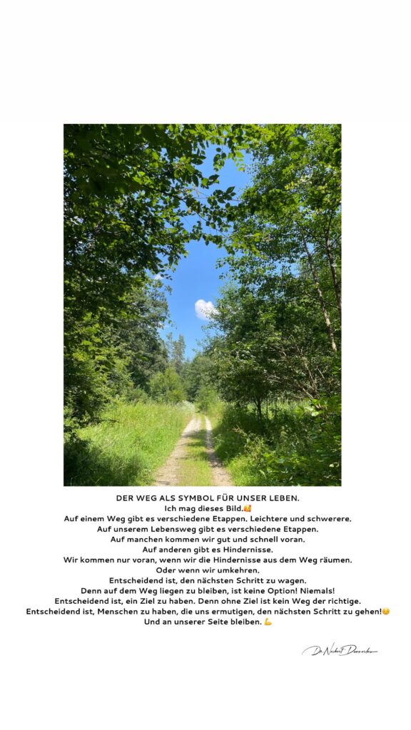 Dr. Norbert Dennerlein: DER WEG