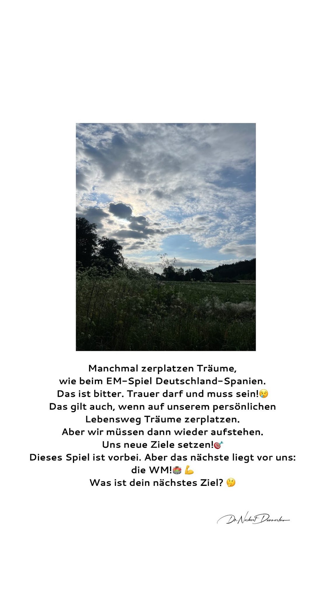 Manchmal zerplatzen Träume, wie beim - Spiel Deutschland - Spanien