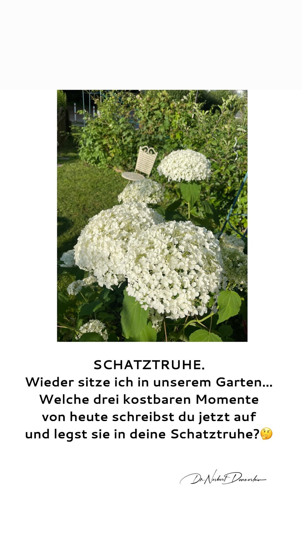 SCHATZTRUHE