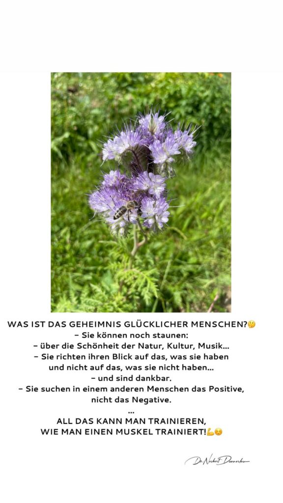 Dr. Norbert Dennerlein: WAS IST