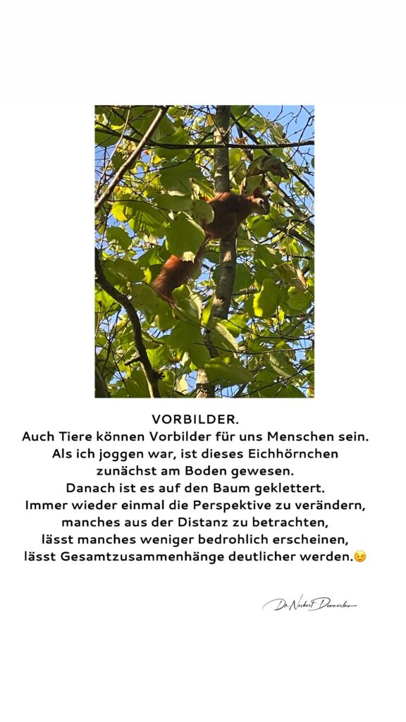 Dr. Norbert Dennerlein: A ~ aN  VORBILDER