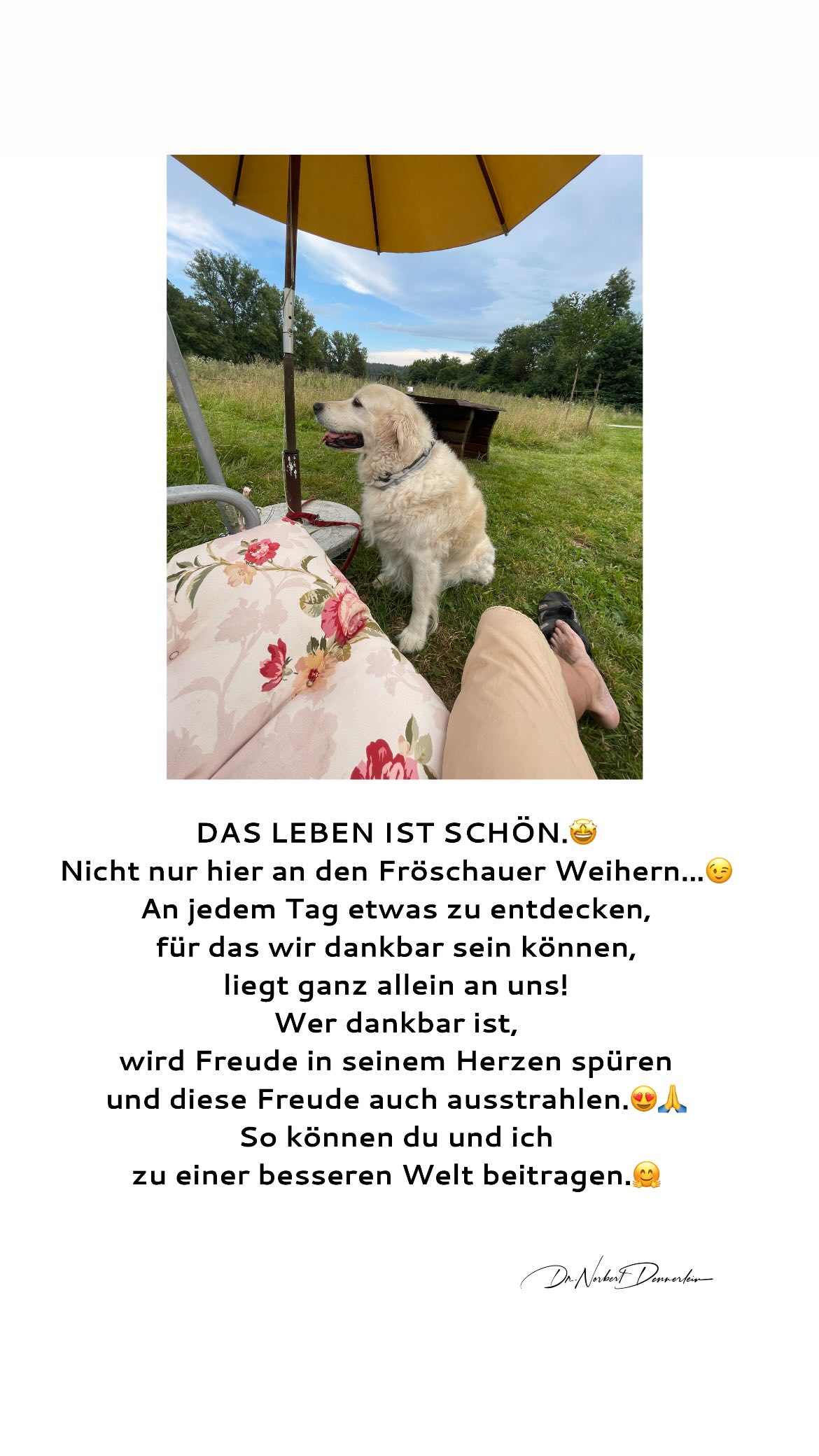 DAS LEBEN