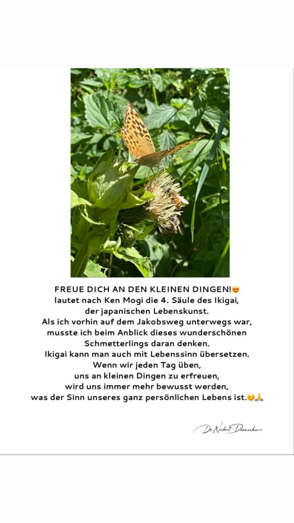 Dr. Norbert Dennerlein: FREUE