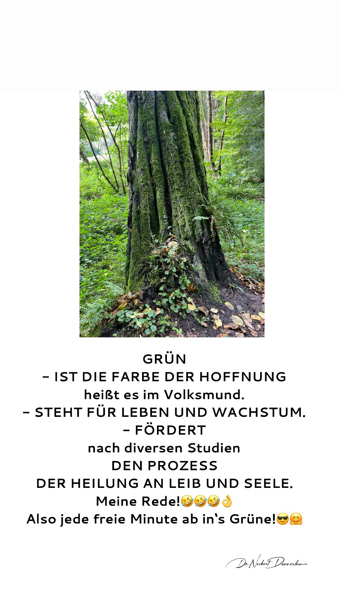 GRÜN -