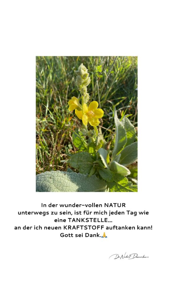 Dr. Norbert Dennerlein: In der wunder - vollen NATUR unterwegs zu sein, ist für mich jeden Tag