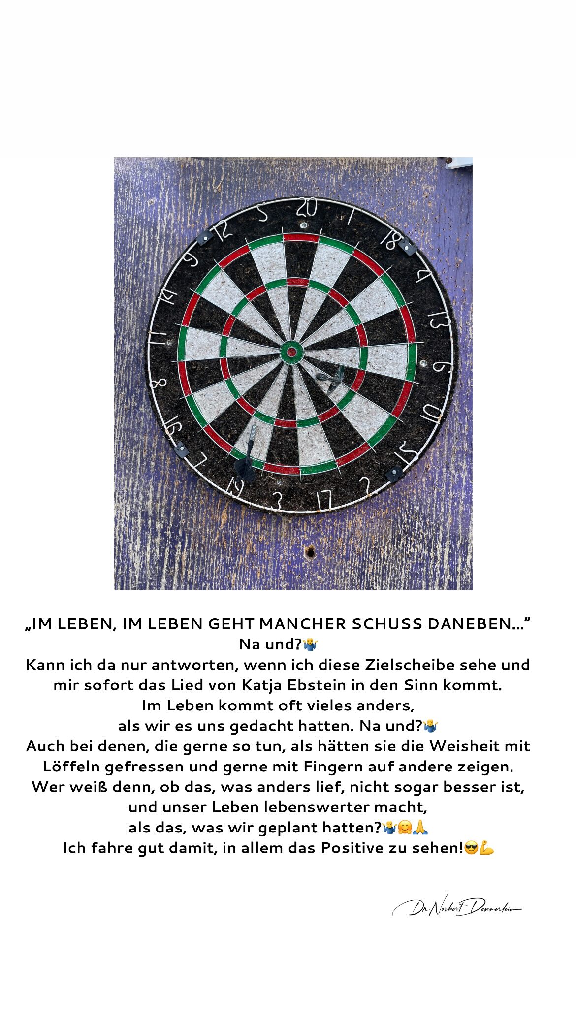 LEBEN, IM LEBEN GEHT MANCHER SCHUSS DANEBEN