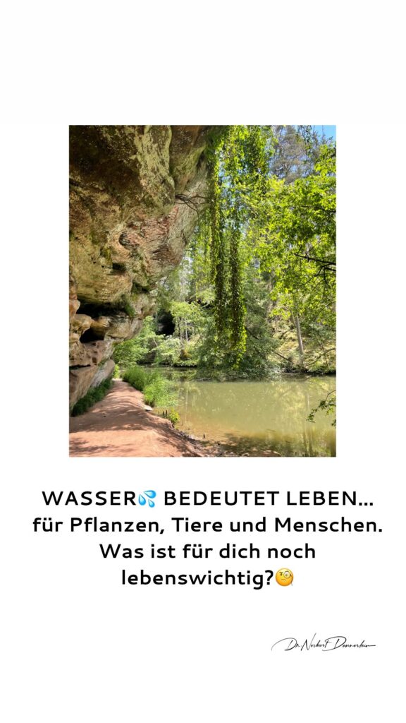 Dr. Norbert Dennerlein: WASSER» BEDEUTET LEBEN