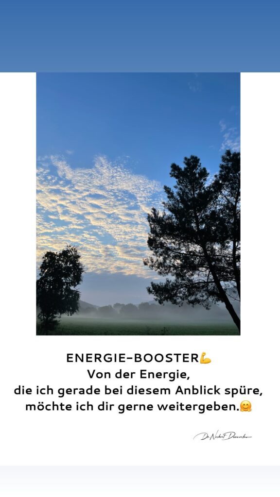 Dr. Norbert Dennerlein: ENERGIE - BOOSTERL