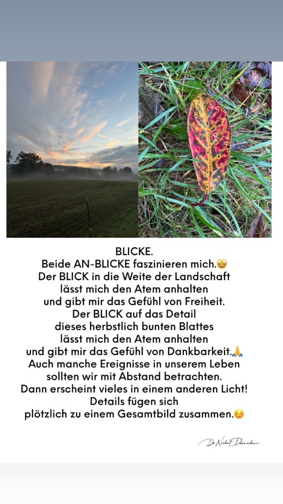 Dr. Norbert Dennerlein: BLICKE