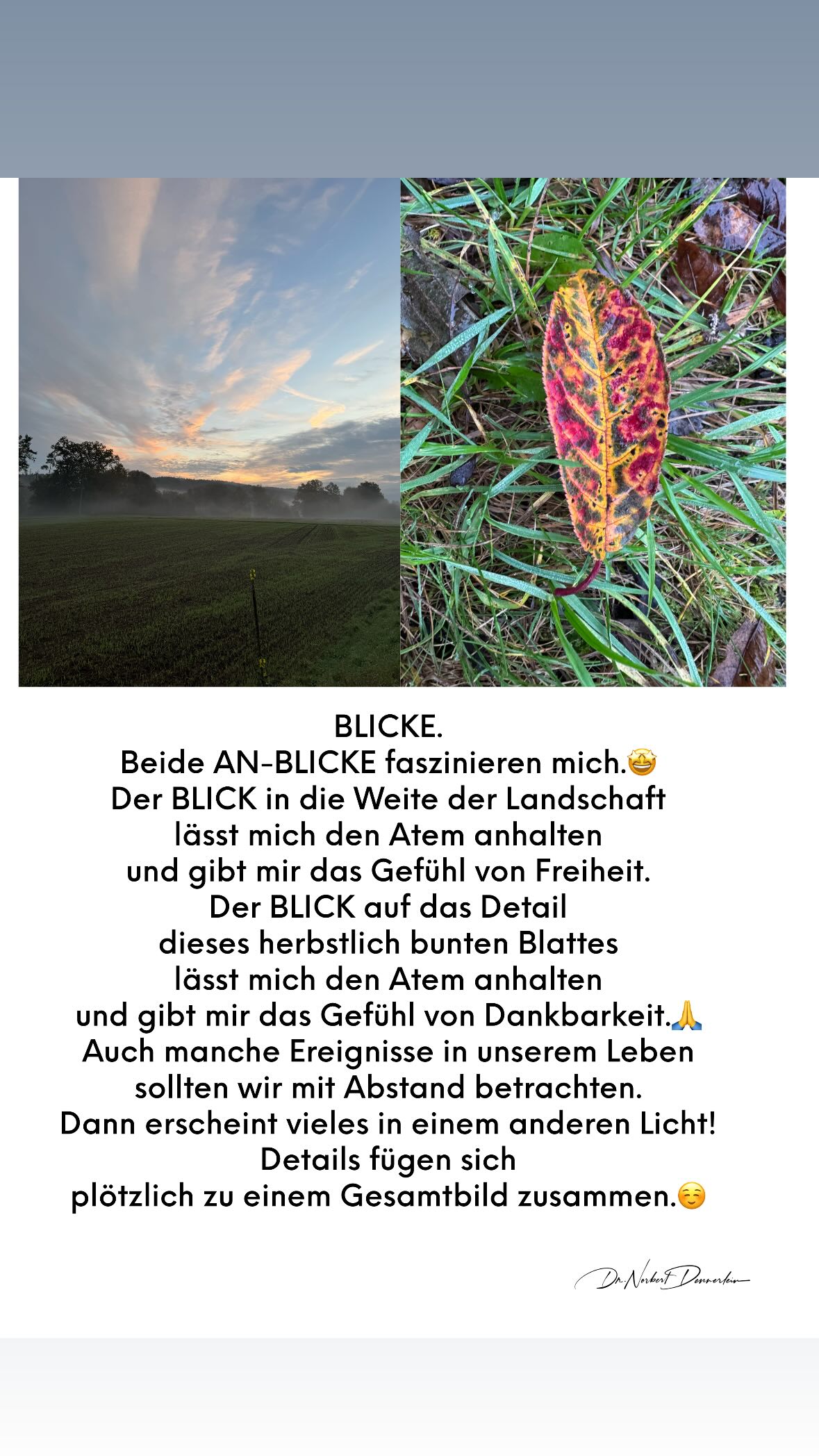 BLICKE