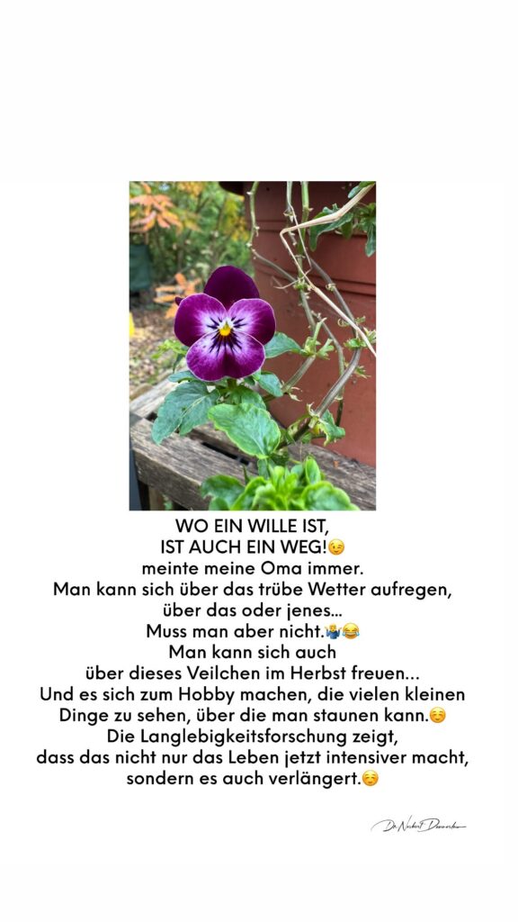 Dr. Norbert Dennerlein: EIN