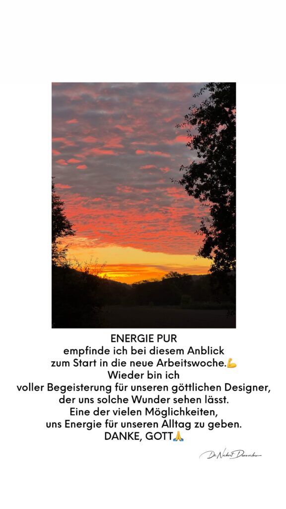 Dr. Norbert Dennerlein: ENERGIE