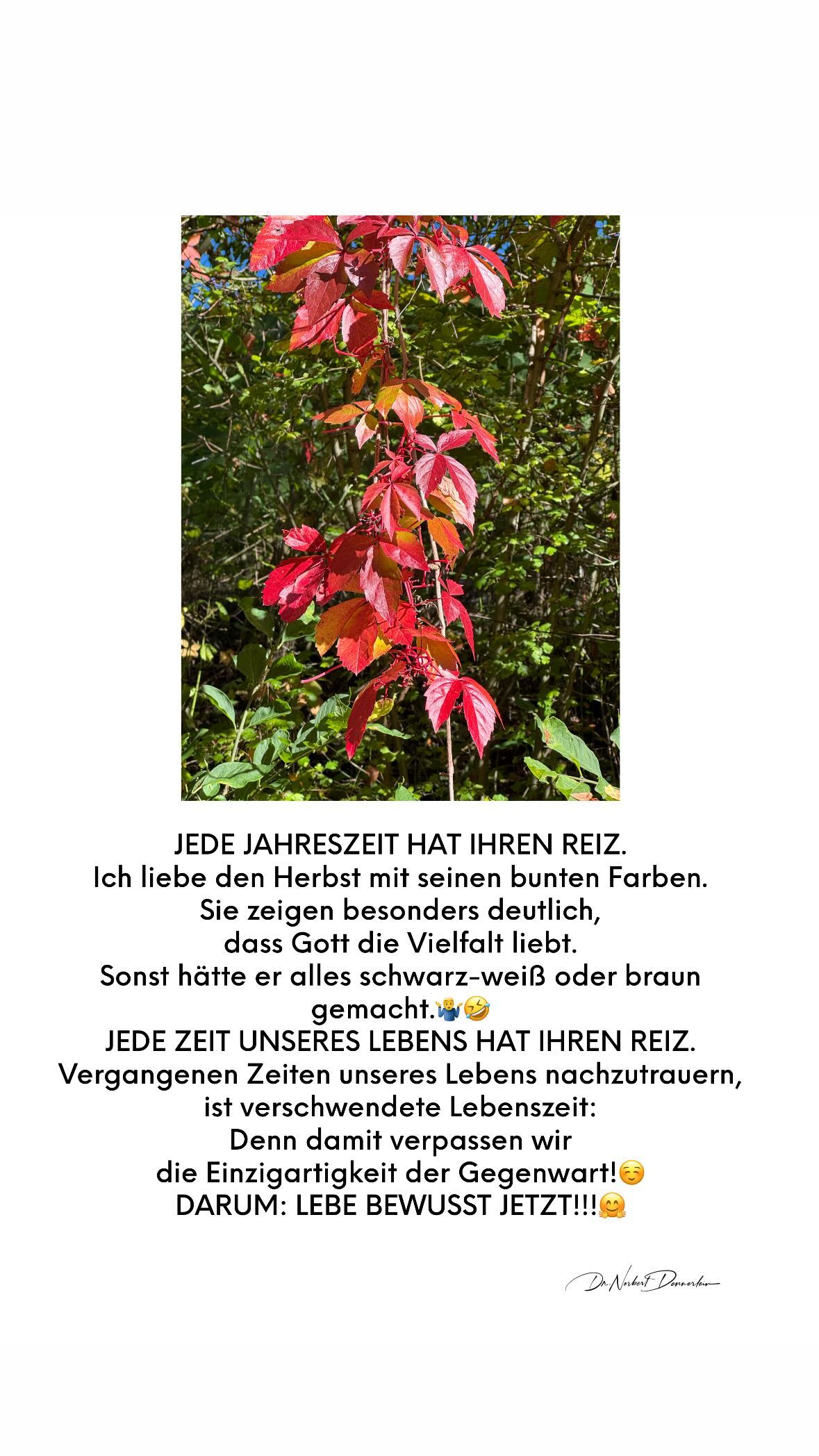 Oktober 2024 - (4): JEDE 1 JEDE