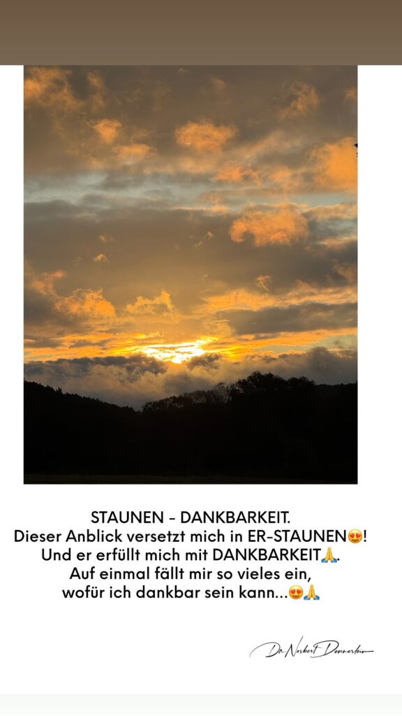 Dr. Norbert Dennerlein: STAUNEN -