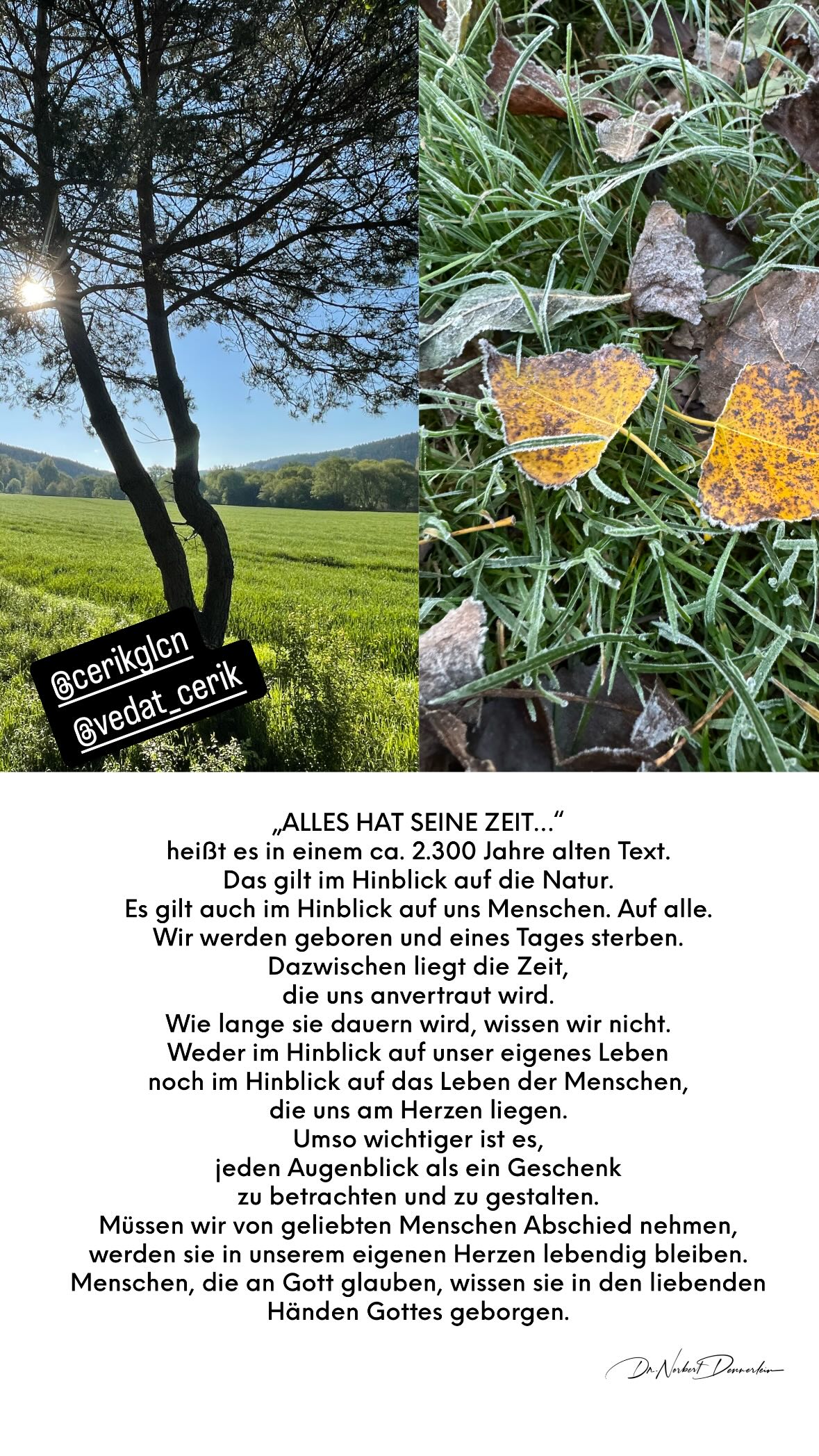 „ALLES HAT SEINE ZEIT