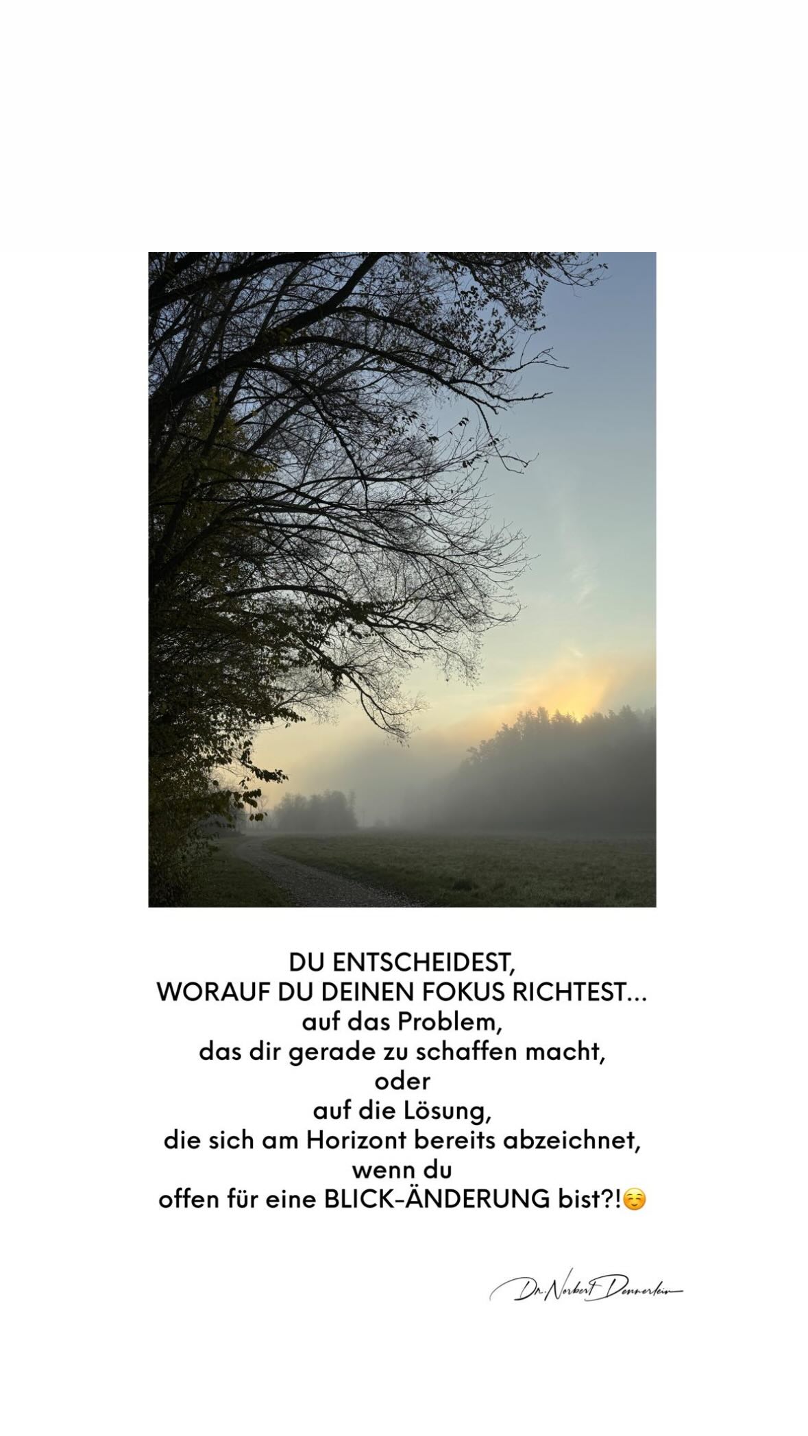 ENTSCHEIDEST, WORAUF DU DEINEN FOKUS RICHTEST