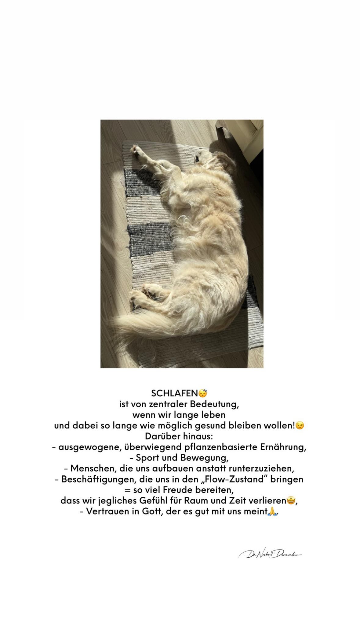 November 2024 - (13): SCHLAFEN ist von zentraler Bedeutung, wenn wir lange leben und dabei so lange wie 1 SCHLAFEN ist von zentraler Bedeutung, wenn wir lange leben und dabei so lange wie