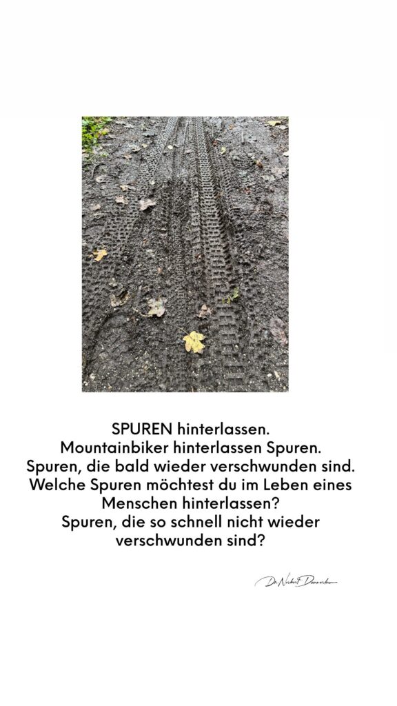 Dr. Norbert Dennerlein: SPUREN hinterlassen