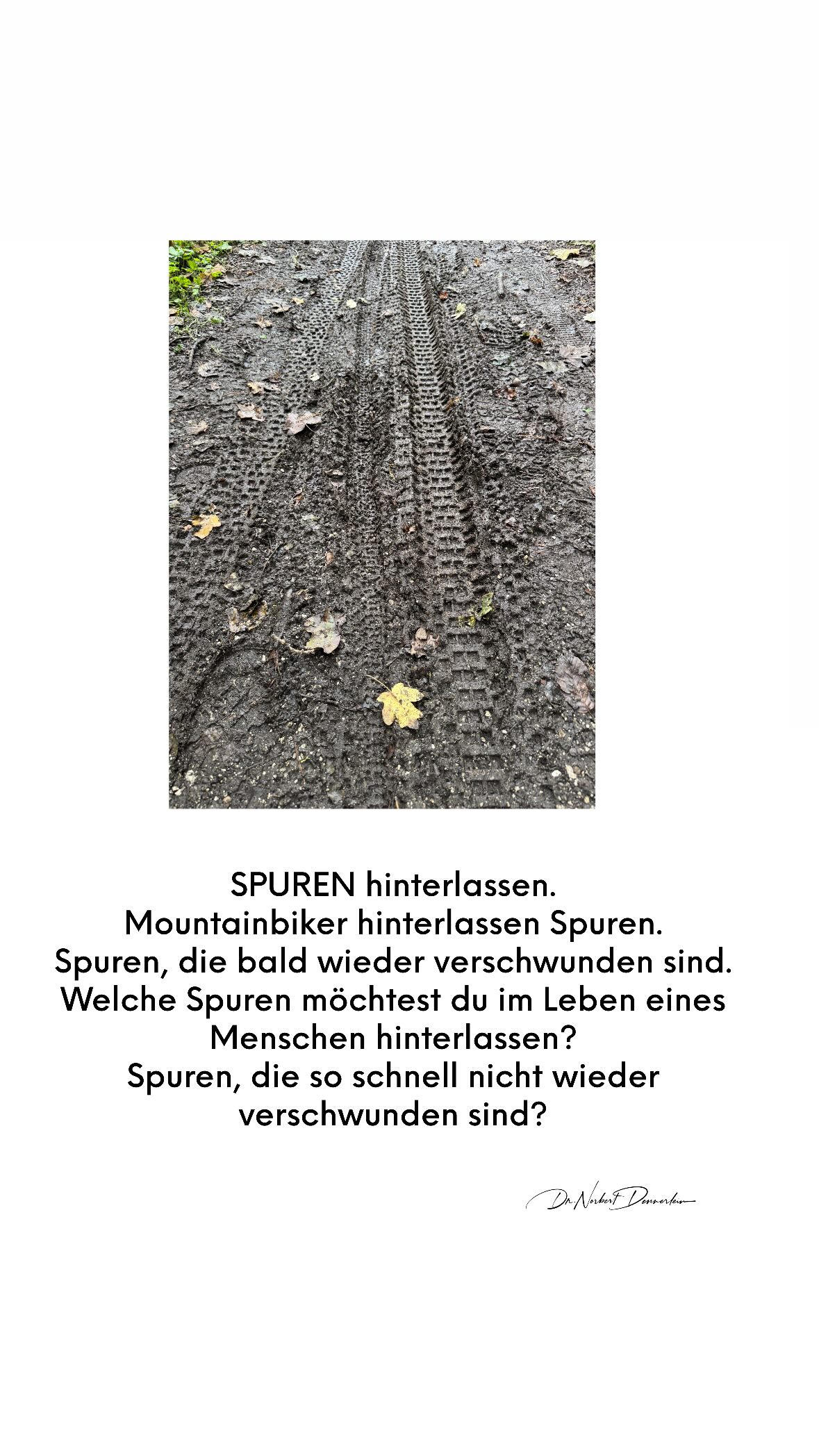 SPUREN hinterlassen