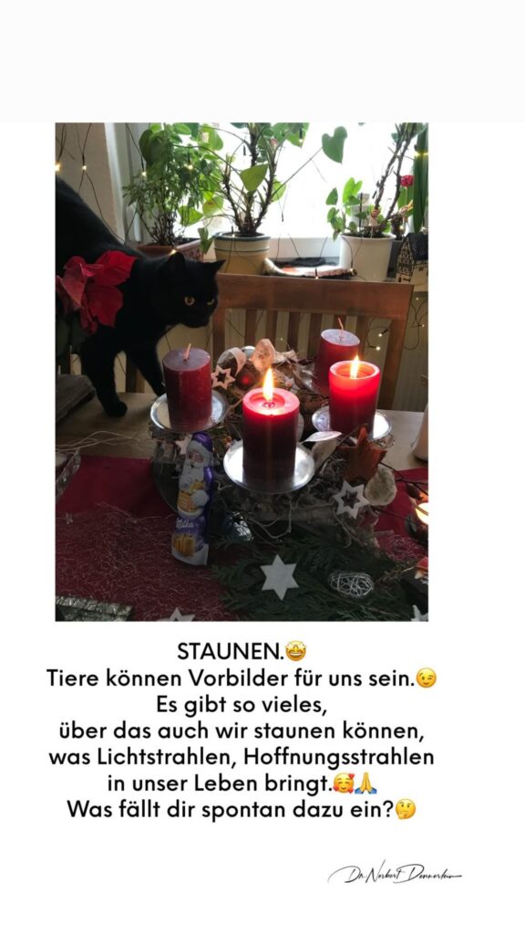 Dr. Norbert Dennerlein: STAUNEN