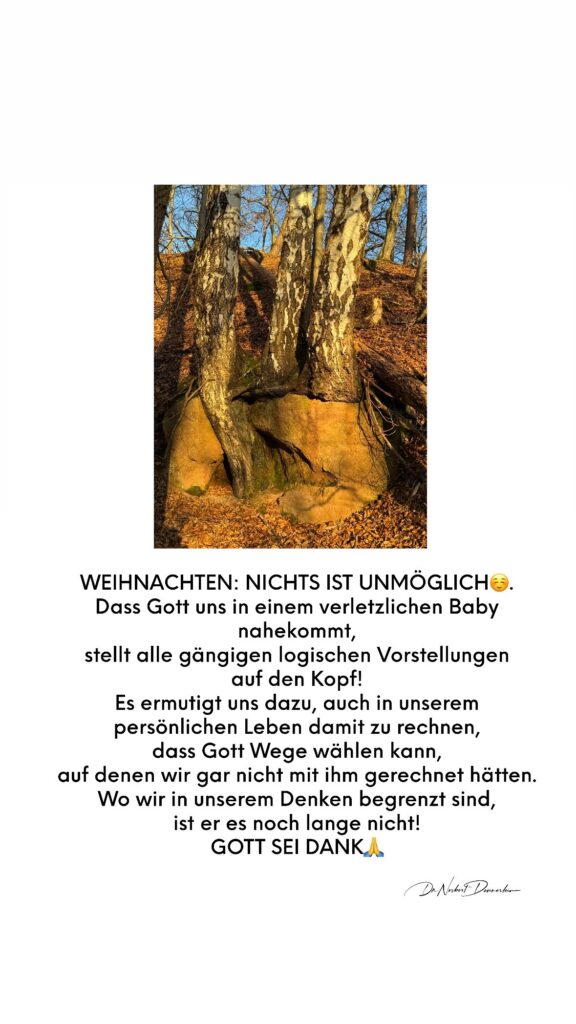 Dr. Norbert Dennerlein: WEIHNACHTEN: