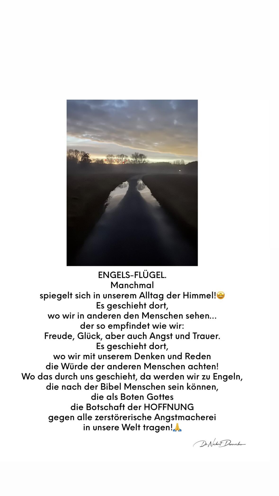 ENGELS - FLÜGEL