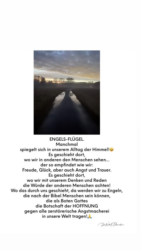 Dr. Norbert Dennerlein: ENGELS - FLÜGEL