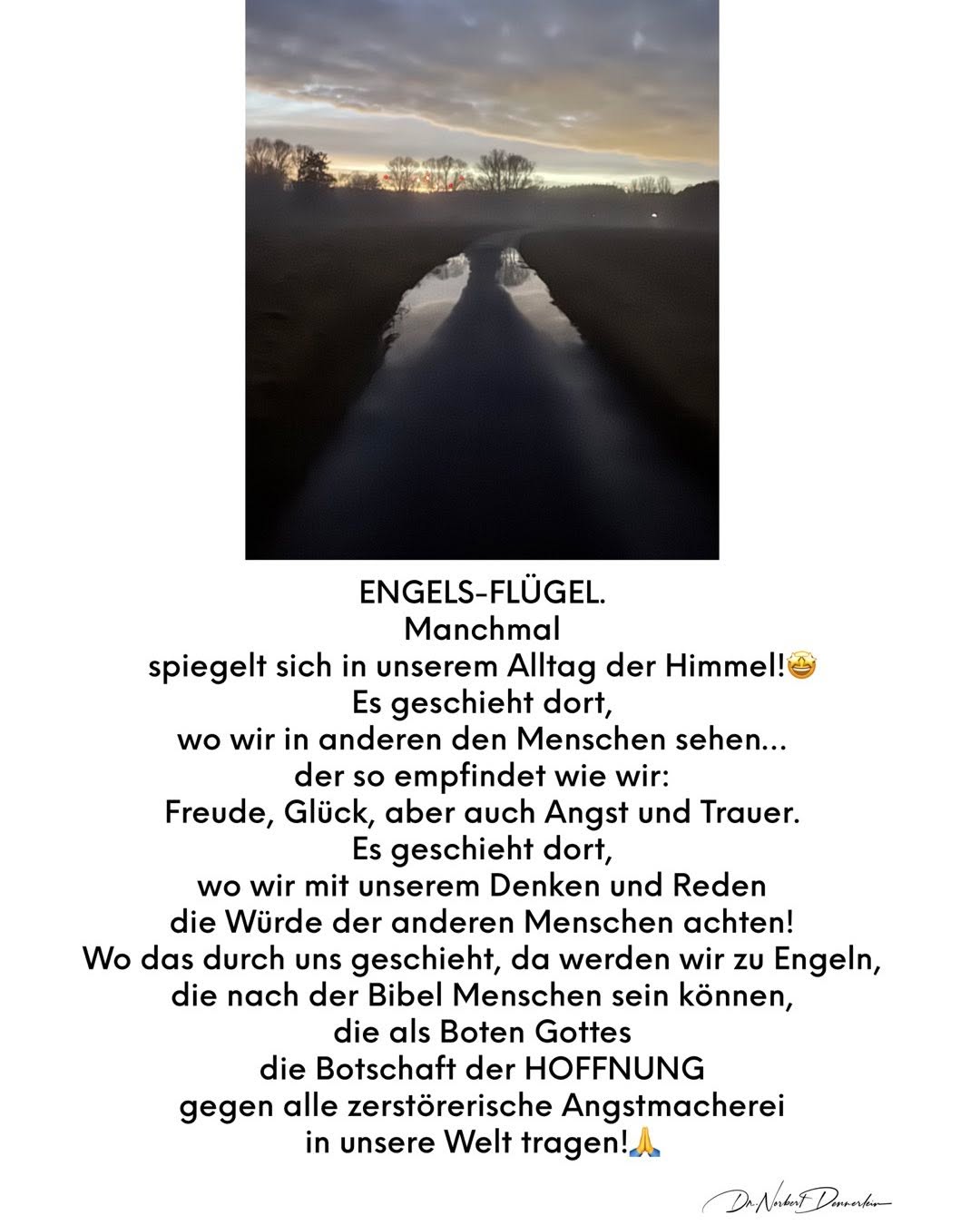 ENGELS - FLÜGEL