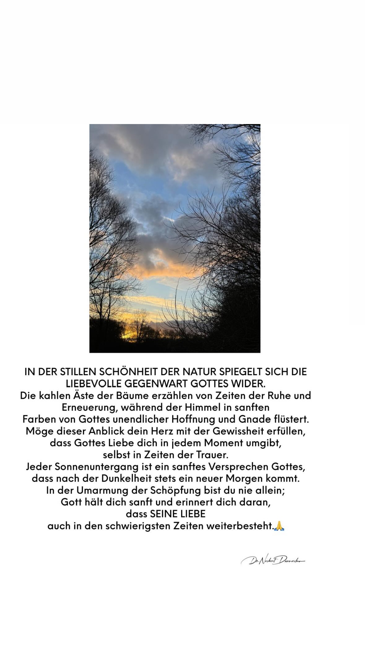 Februar 2025 - (14): DER 1 DER