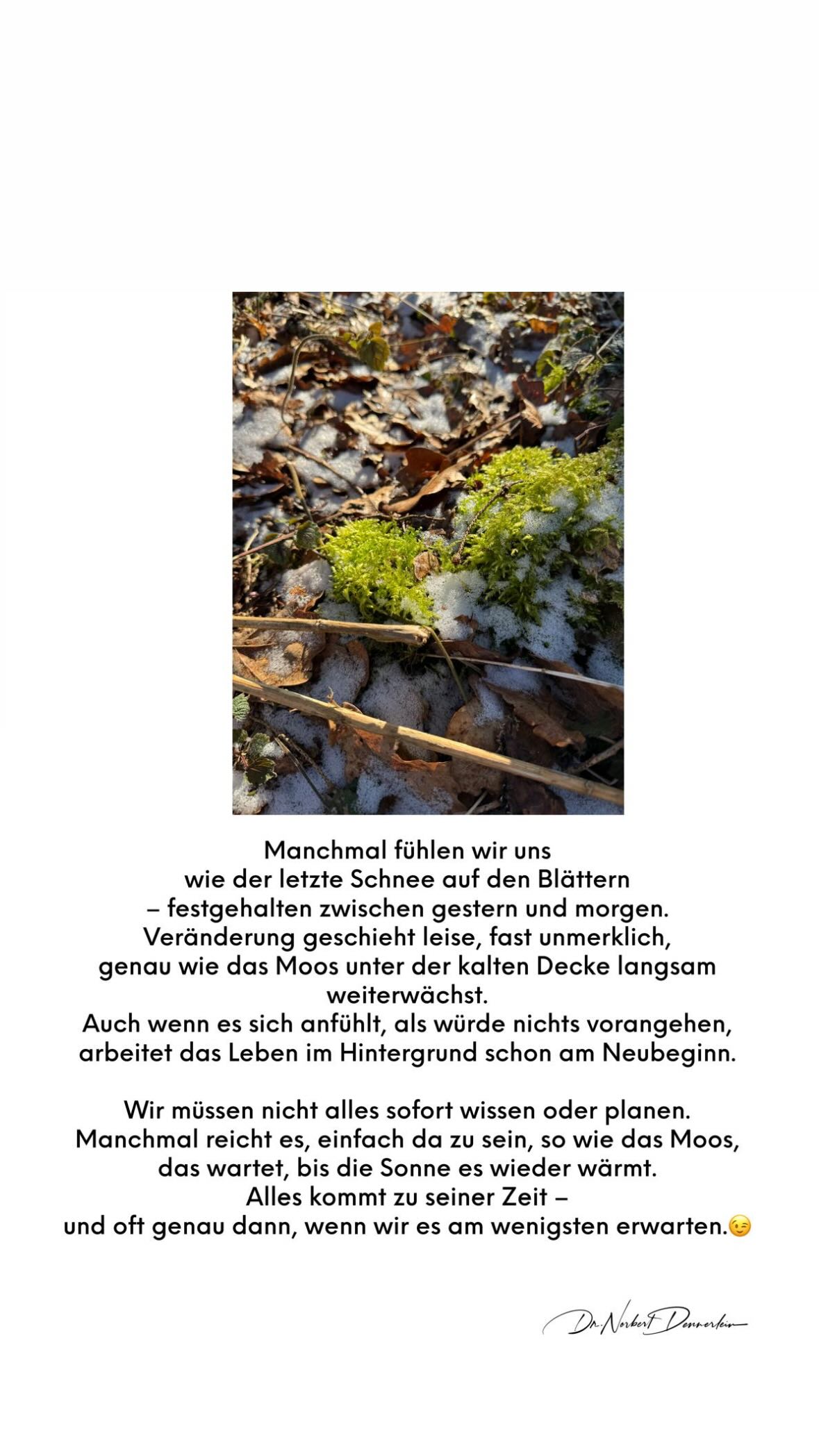 Manchmal fühlen wir uns wie der letzte Schnee auf den Blättern - festgehalten zwischen