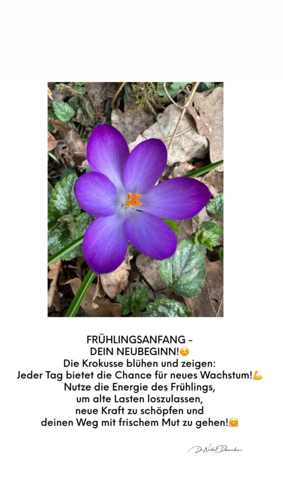 Dr. Norbert Dennerlein: FRÜHLINGSANFANG -