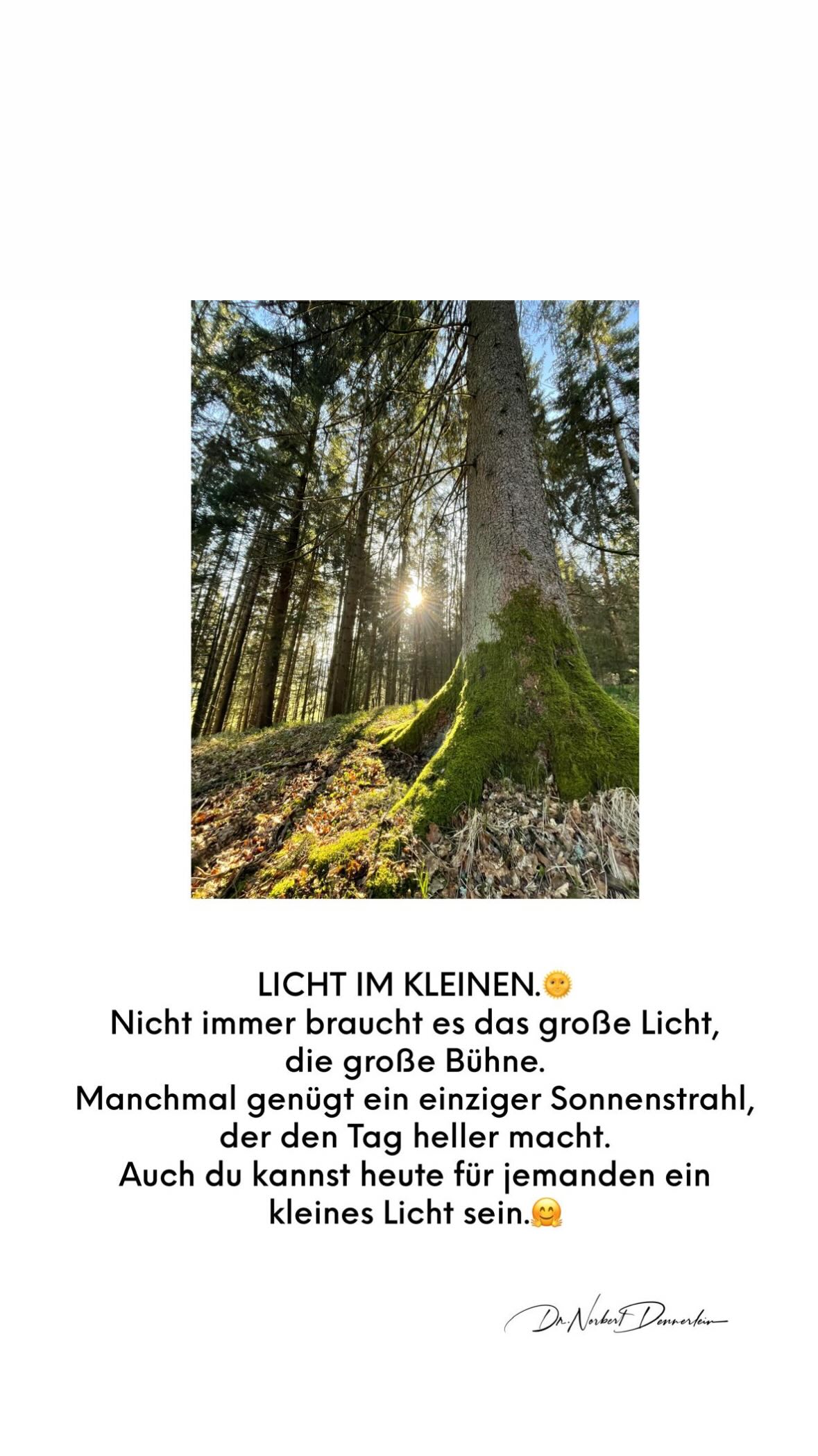 LICHT