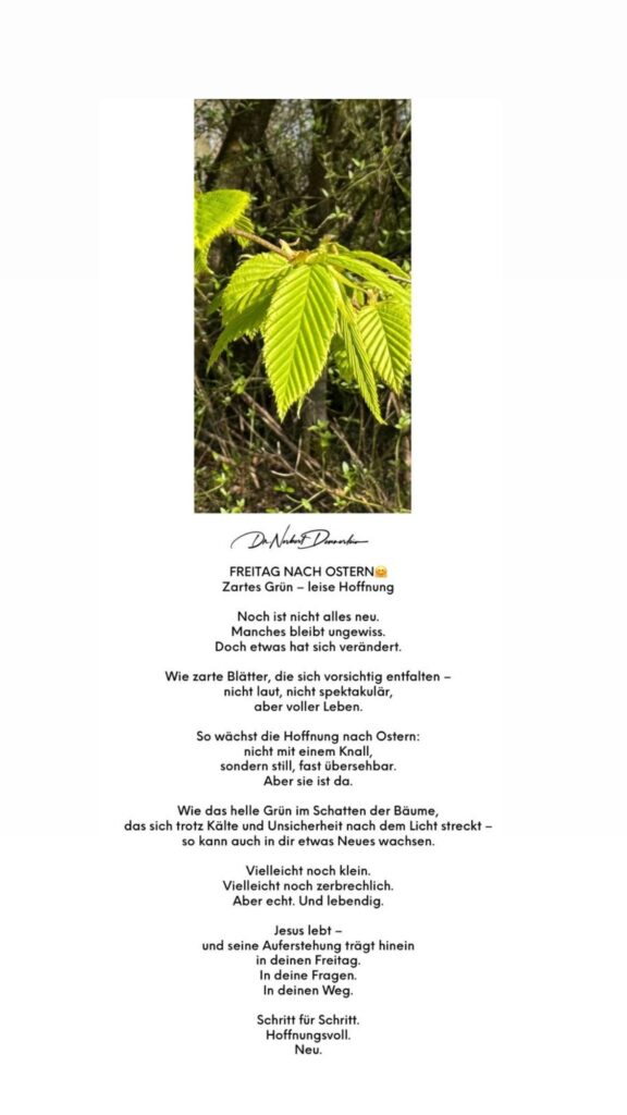 Dr. Norbert Dennerlein: FREITAG