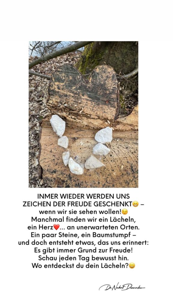 Dr. Norbert Dennerlein: INMER