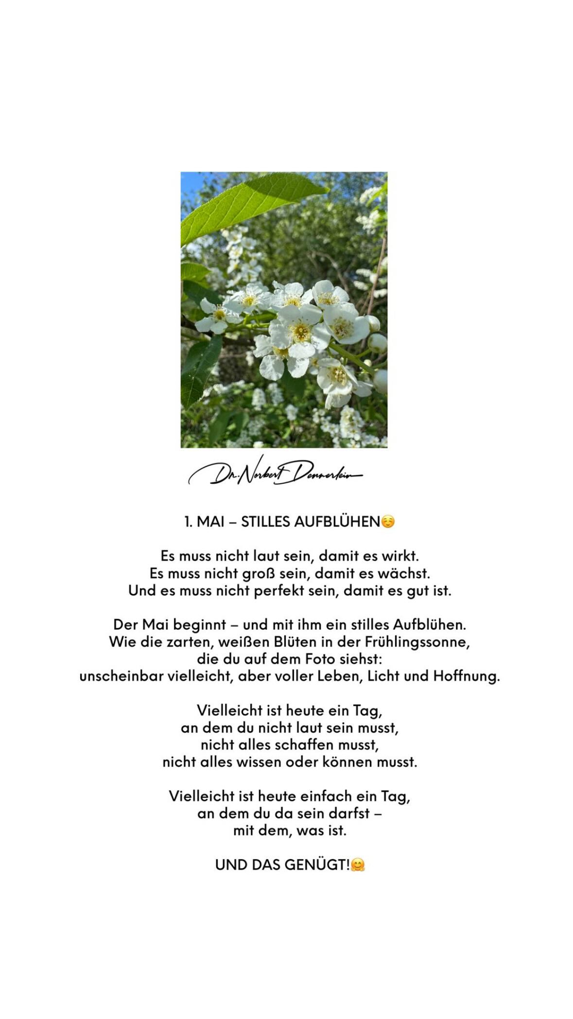 MAI - STILLES AUFBLÜHEN