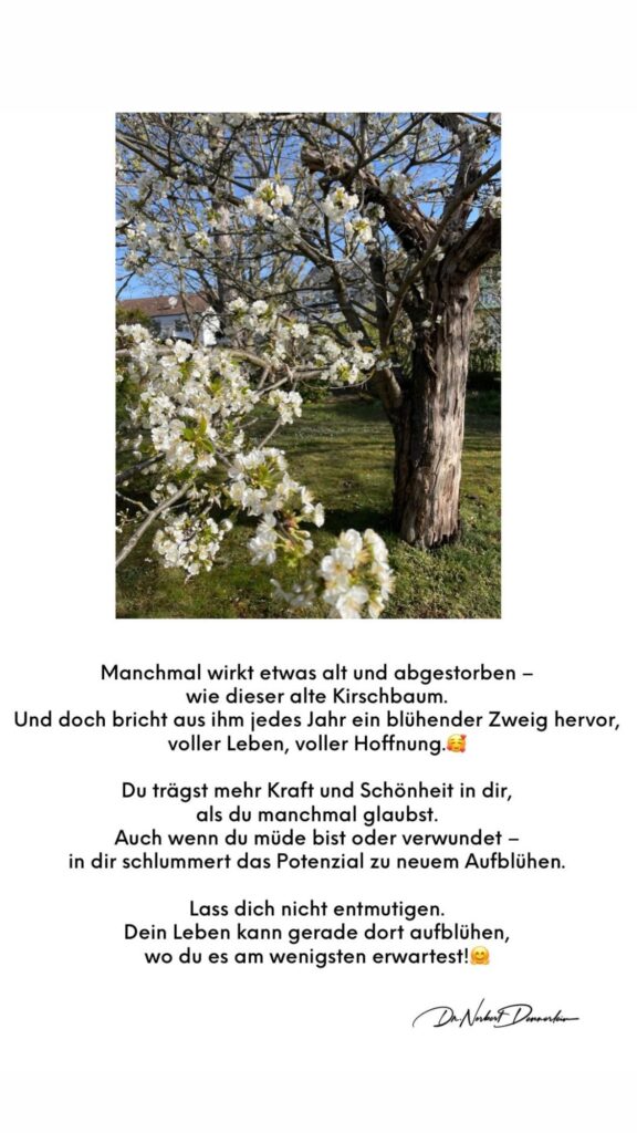 Dr. Norbert Dennerlein: Manchmal wirkt etwas alt und abgestorben - wie dieser alte Kirschbaum