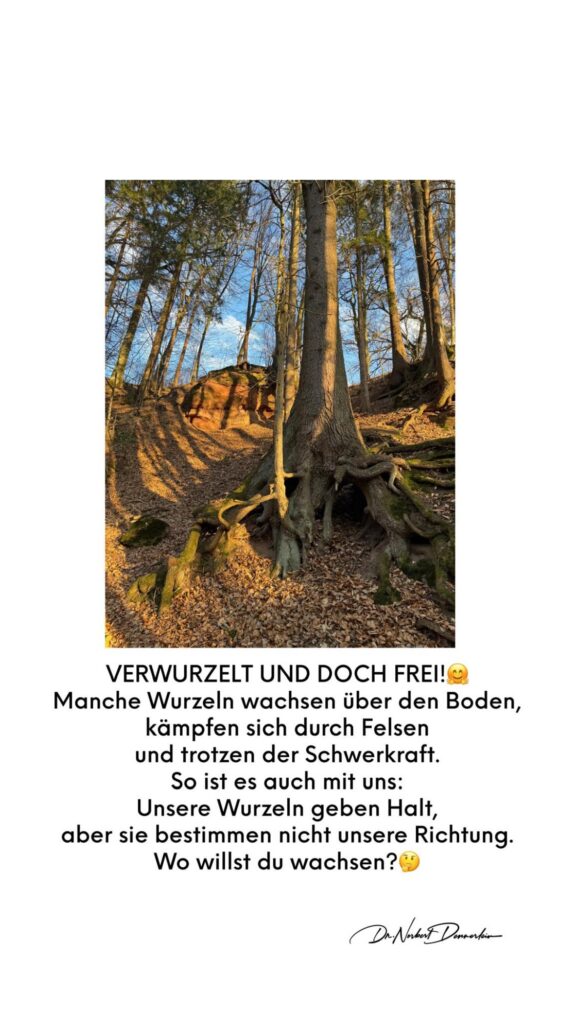 Dr. Norbert Dennerlein: VERWURZELT