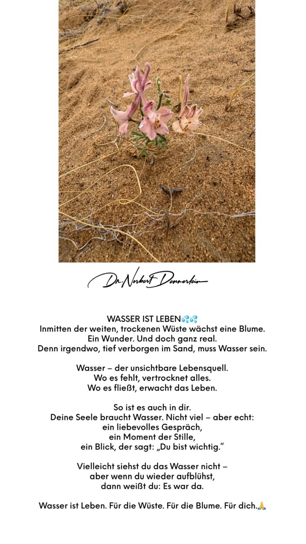 Dave WASSER IST LEBEN