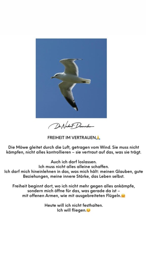 Dr. Norbert Dennerlein: F FREIHEIT IM VERTRAUEN Die Möwe gleitet durch die Luft, getragen vom