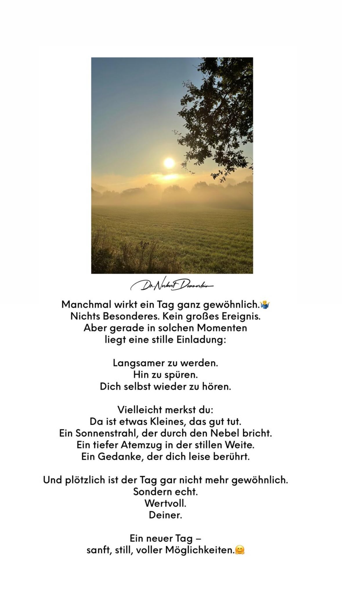  Manchmal wirkt ein Tag ganz gewöhnlich