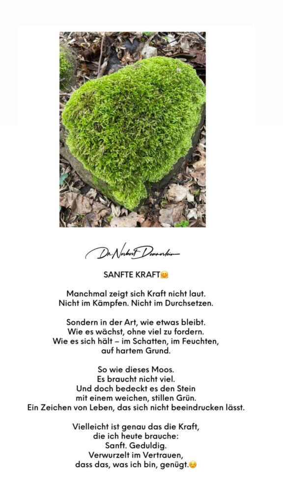 Dr. Norbert Dennerlein: SANFTE KRAFT Manchmal zeigt sich Kraft nicht laut