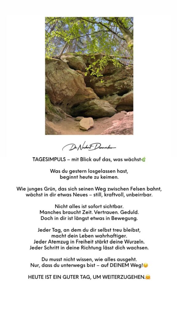 Dr. Norbert Dennerlein: TAGESIMPULS - mit Blick auf das, was wächstw