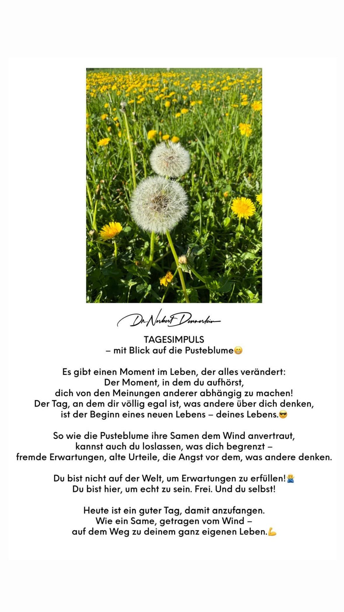 Mai 2025 - (4): TAGESIMPULS - mit Blick auf die PusteblumeEs gibt einen Moment im Leben, der 1 TAGESIMPULS - mit Blick auf die PusteblumeEs gibt einen Moment im Leben, der