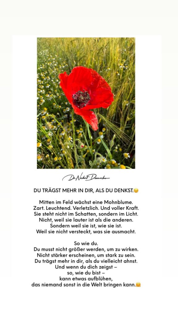 Dr. Norbert Dennerlein: TRÄGST