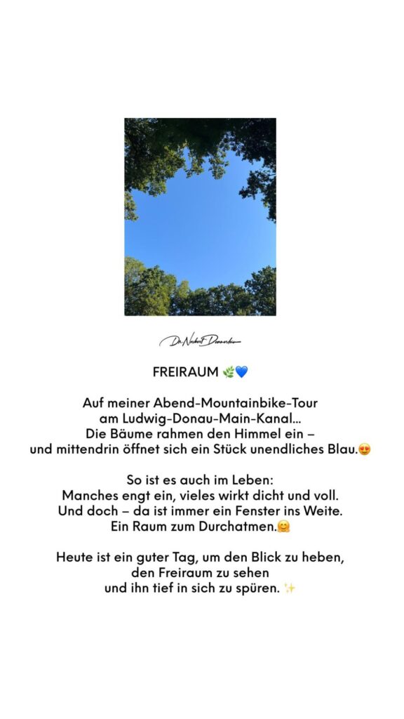 Dr. Norbert Dennerlein: FREIRAUM: Auf meiner Abend - Mountainbike - Tour am Ludwig
