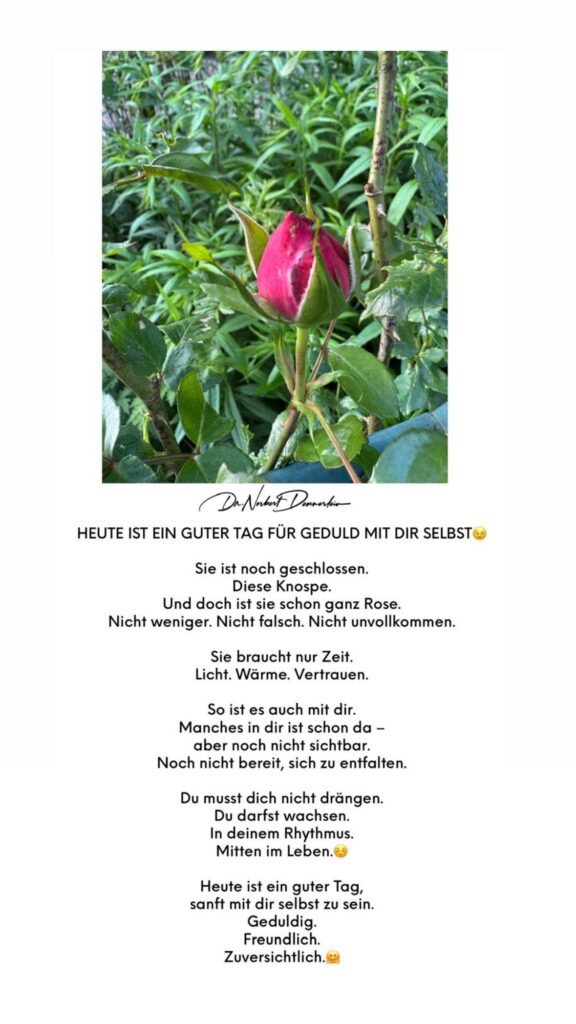 Dr. Norbert Dennerlein: HEUTE