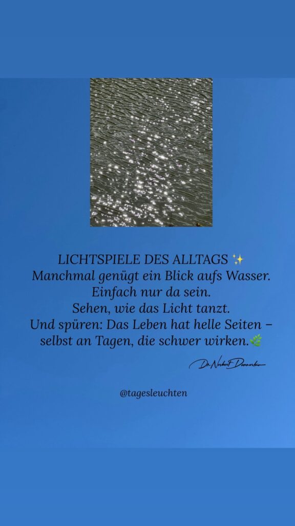Dr. Norbert Dennerlein: LICHTSPIELE